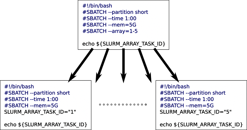 A box and arrows style diagram showing a single array job with an
'--array' option, that spawns a sequence of single jobs, one per array
value.