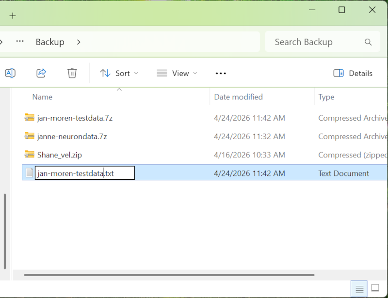 File browser with a file being renamed.