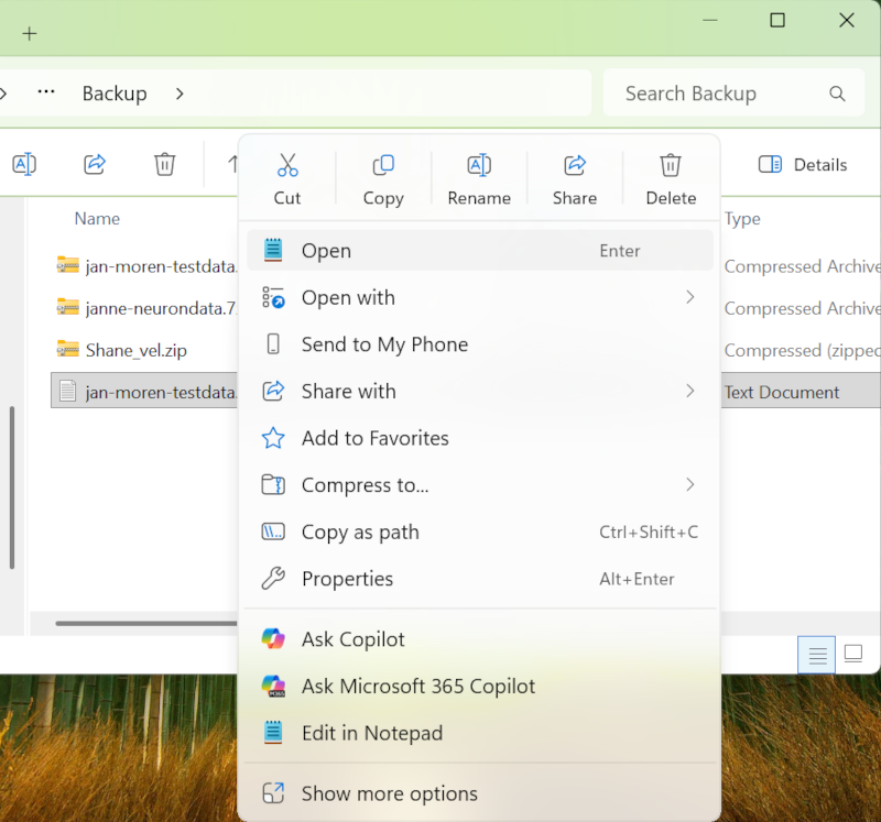 File browser with a file open menu popup