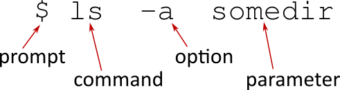 The command '$ ls -a somedir', with arrows showing that '$' is a prompt, 'ls' is the command, '-a' is an option and 'somedir' is a parameter.