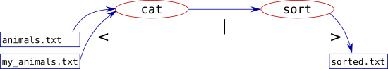 Box and arrow diagram where 'cat' pipes it's output directly into
'sort', which then redirects to the final output file.