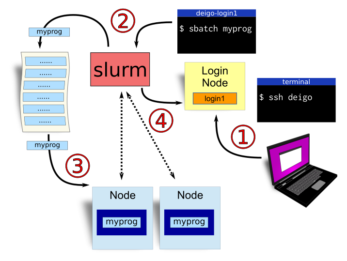 A workflow diagram showing the four stages of running a job.