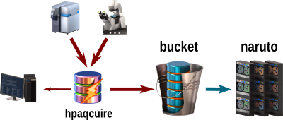 A diagram showing how to use the HPacquire system.